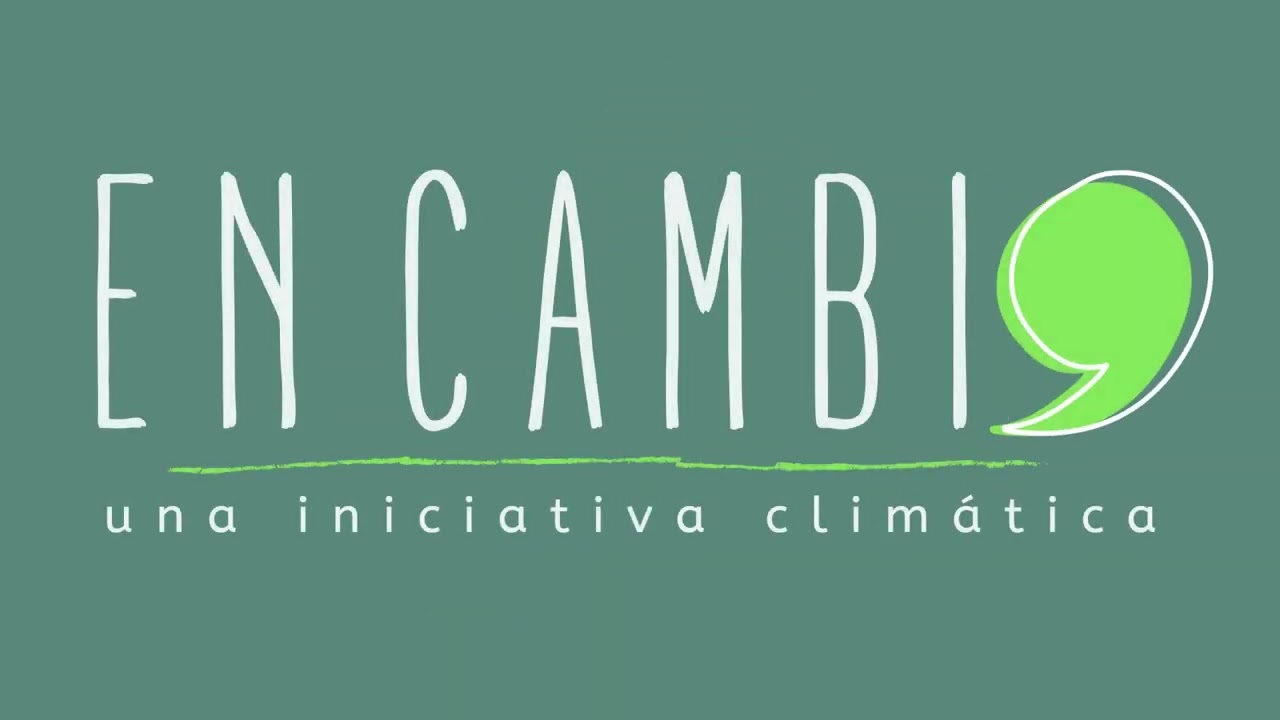 proyectos